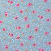 3255 - Blauw (licht) met roze roosjes