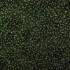 FQ3372 - Groen donker met goudmetallic sterretjes FQ