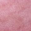 3390 - Roze licht met fijne lichte en donkere blaadjes PETAL