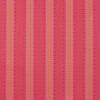 1592 - Roze streep
