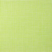 Lime groen wit ruitje
