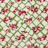 2796 - Groen met witte vlakjes en rode rozen