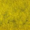 WV3109-004 - Wolvilt 004 Mustard Relish 30x45 cm