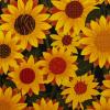FQ3363 - Groen met goudgele zonnebloemen FQ