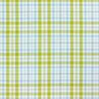 Lime blauw witte ruit