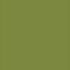 4855 - Groen middel effen SAGE