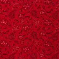 Rood met donkerder paisly