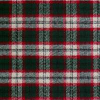 Wit-DonkerGroene ruit met rode en zwarte rand (Classic Tartans)